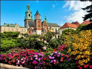 Zamek, Polska, Wawel, Kraków
