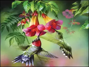 Kwiaty, Dwa, Kolibry