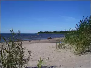 Woda, Brzeg, Piasek