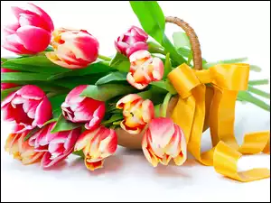 Bukiet, Wstążka, Tulipanów, Kosz