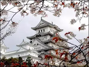 Japońska, Pagoda