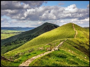 Góry, Owce, Dróżka, Pastwisko