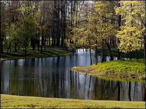 Wiosna, Rzeka, Las