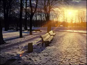 Przebijające, Ławki, Park, Drzewa, Zima, Słońce