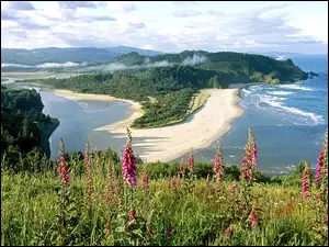 Plaża, Morze, Wyspa