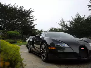 Czarny, Bugatti Veyron