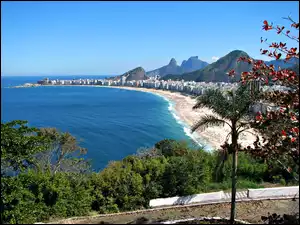 Plaża, Rio De Janeiro, Morze, Drzewa
