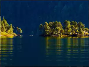 Wysepka, Jezioro, Las
