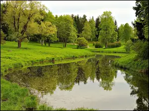 Wiosna, Park, Odbicie, Staw, Drzewa