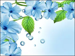 Kwiaty, Art, Błękitny, Hibiskus