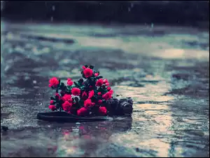 Aparat, Canon, Czerwone, Deszcz, Róże, Fotograficzny