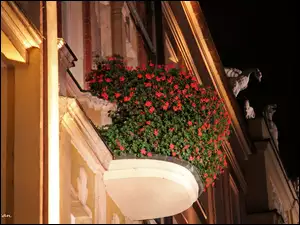 Budynki, Poznań, Ukwiecony, Starówka, Balkon, Noc