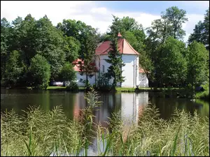 Kościół, Polska, Drzewa, Zwierzyniec