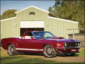 Mustang 351