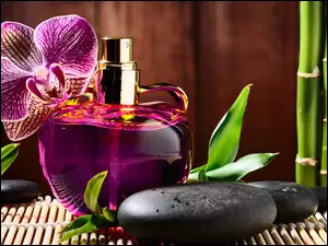 Perfumy, Kompozycja, Kamienie, Storczyki, Bambus