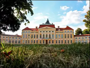 Rogalinie, Pałac, W