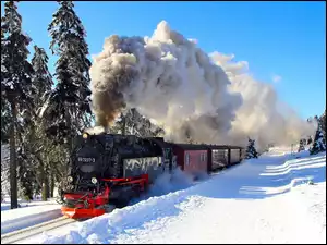 Zima, Pociąg, Drzewa