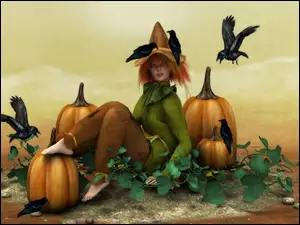Kruki, Halloween, Dynie
