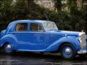 Zabytkowy, Drzewa, Niebieski Rolls Royce, Ulica