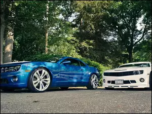 Drzewa, Dwa, Camaro, Chevrolety, Droga