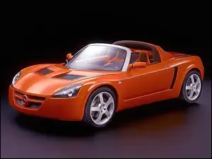 Opel Speedster, Roadster