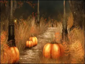 Halloween, Grafika, Dynie, Droga