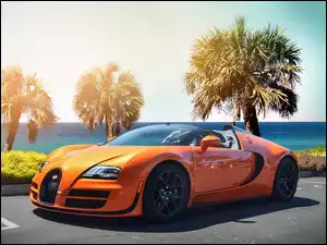 Bugatti, Palmy