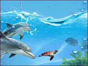 Dwa, Woda, Delfiny, Żółw