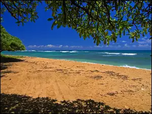 Morze, Wyspa, Piasek, Plaża, Woda