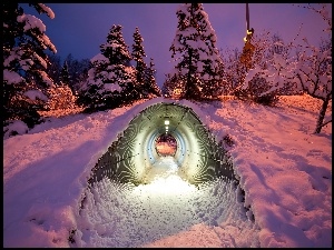 Drzewa, Zmierzch, Tunel, Śnieg