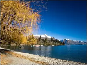 Góry, Wakatipu, Jezioro, Nowa Zelandia, Plaża, Drzewa