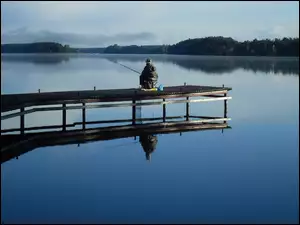Las, Wędkarz, Pomost, Jezioro, Mgła
