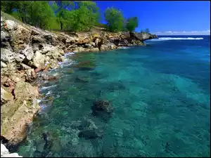 Brzeg, Kauai, Morze, Hawaje, Skalisty, Drzewa