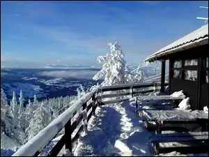 Śnieg, Drzewa, Dom, Taras