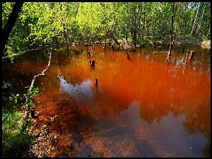 Jezioro, Park, Antropogeniczne, Łuk Mużakowa