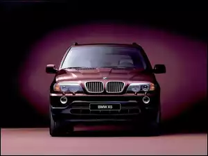 Wiśniowe, X5