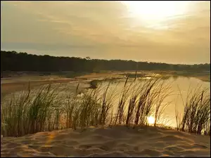 Słońca, Rzeka, Trawy, Lasy, Wschód