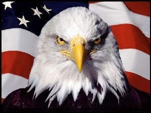 USA, Orzeł, Flaga