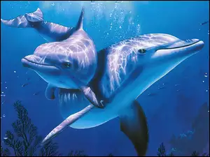 Woda, Delfiny