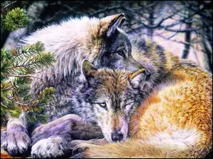 Dwa, Wilki