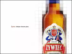 Piwo, Piwo Żywiec