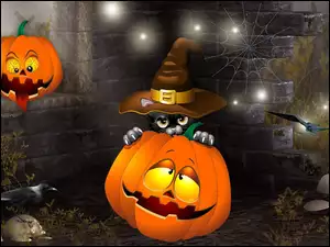 Halloween, Dynie, Kot