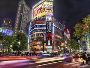 Tokio, Japonia