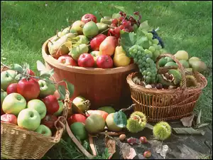 Ogród, Jesienne, Zbiory