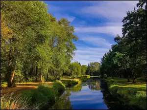 Lato, Zieleń, Park, Rzeka