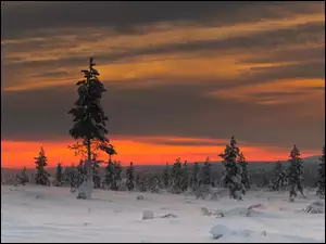 Zachód, Drzewa, Słońca, Śnieg