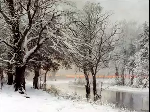Drzewa, Rzeka, Ośnieżone