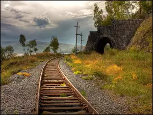 Tor, Rośliny, Kolejowy, Tunel