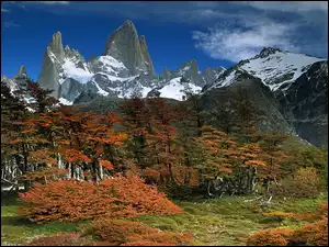 Patagonia, Glaciares, Park, Narodowy