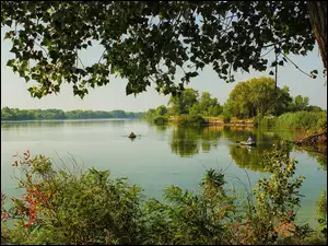 Rzeka, Lato, Wędkarze, Lasy